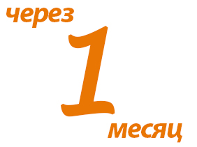 Оплата через 1 месяц